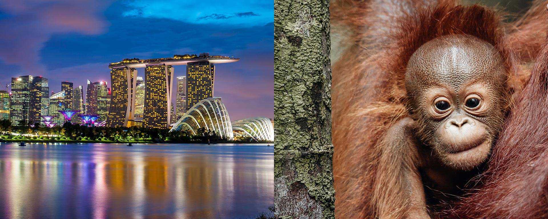 Singapur-Borneo-Titelbild