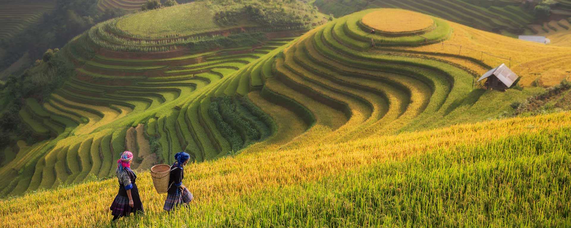 Vietnam-Sapa